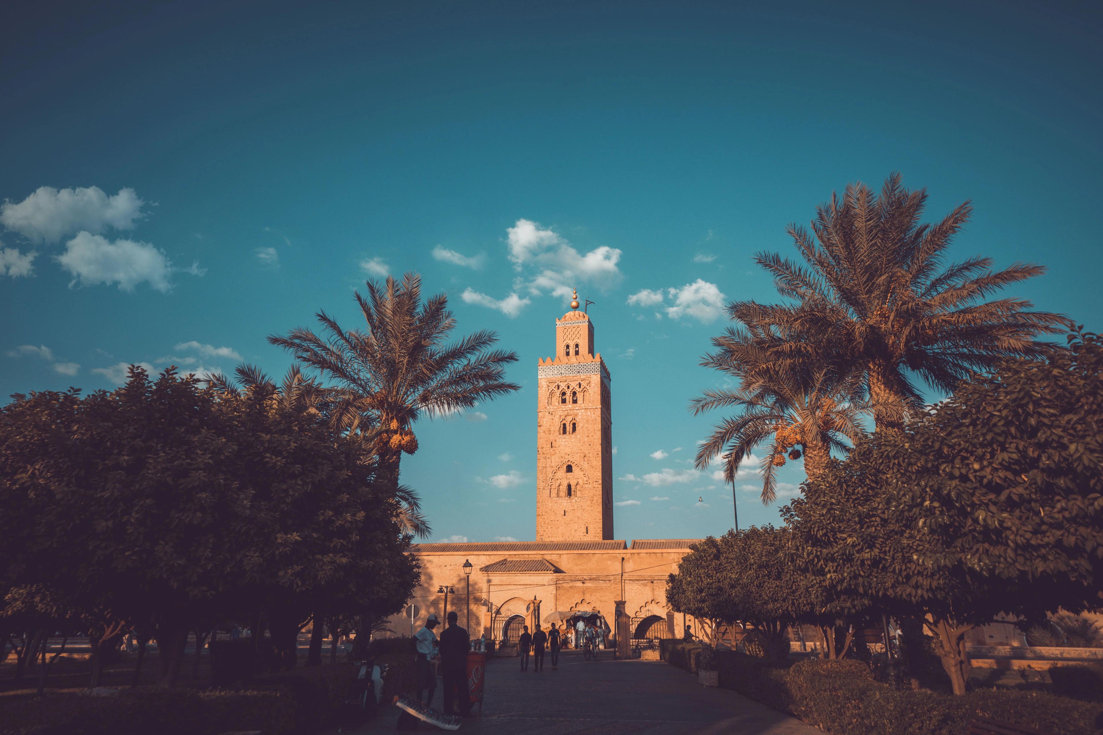 Tours from Marrakech